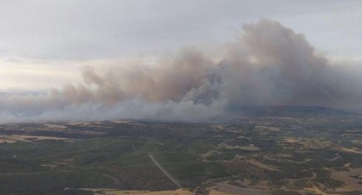 На сході Іспанії вирує лісова пожежа