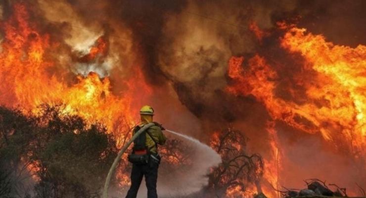 В России бушуют лесные пожары