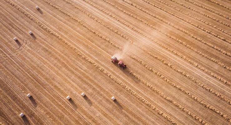 В Минагро дали прогноз по экспорту зерна