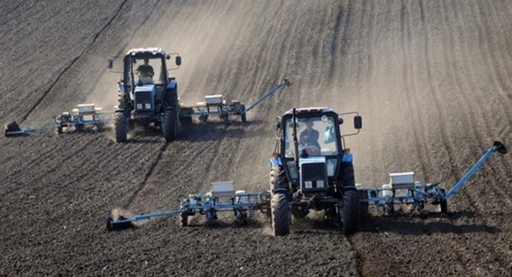 Посевные площади зерновых сократятся почти на треть - Минагрополитики