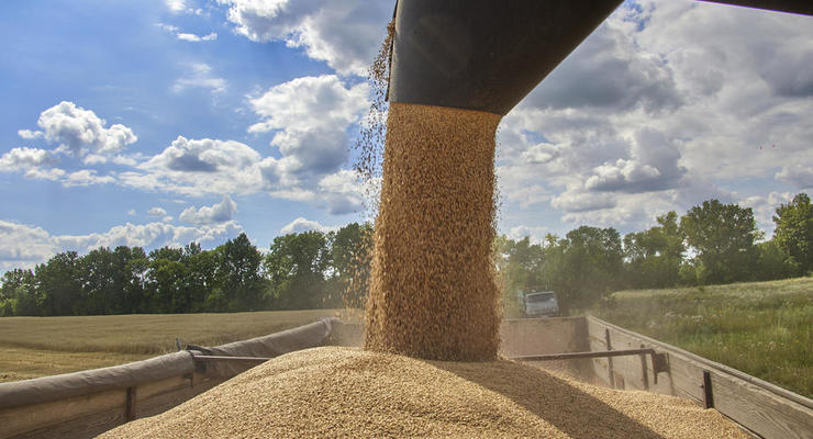 Украина подарит пшеницу голодающим странам Африки