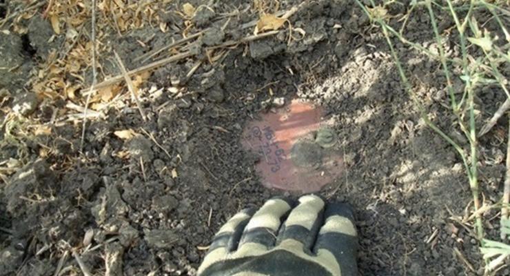 На Харьковщине двое мужчин подорвались на минах, собирая грибы