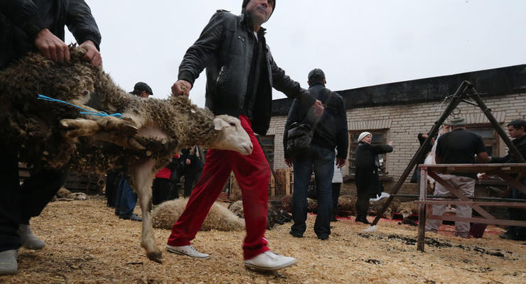 У Сибіру сім'ям мобілізованих роздають баранів