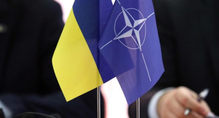 Членство Украины в НАТО: США оценили перспективы