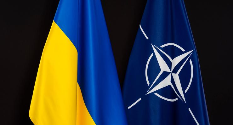 Стало известно, когда НАТО обсудит заявку Украины