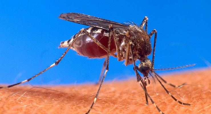 Идет ротация: ВСУ просят не снимать и не публиковать “боевых комаров”