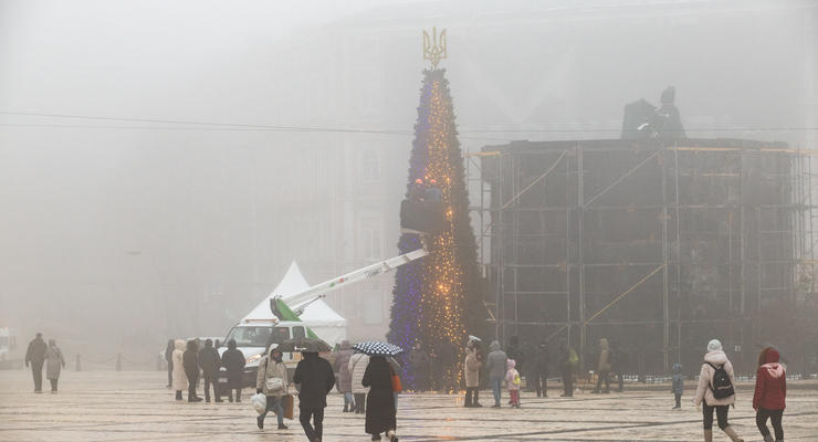 В Киеве установили главную елку страны — фото