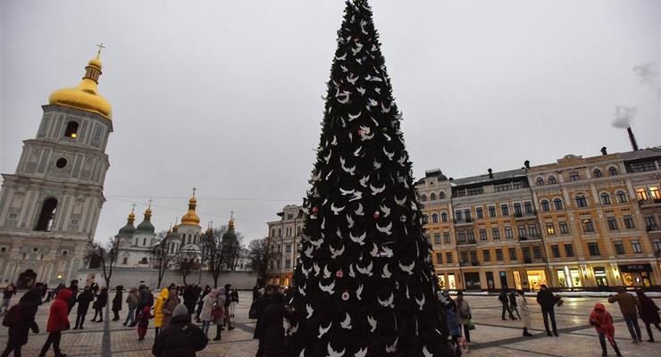 На "Елке несокрушимости" в Киеве зажглись огни: фото