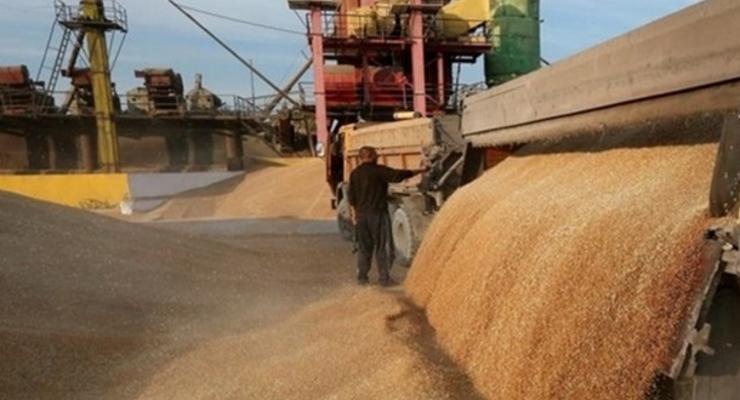 Украина с начала года экспортировала 20,6 млн тонн зерна - Минагрополитики