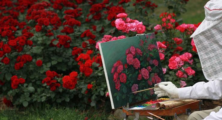 Искусство создания красивого букета роз: советы и хитрости