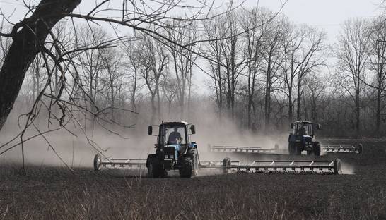 Синоптики предупредили о заморозках в некоторых областях Украины