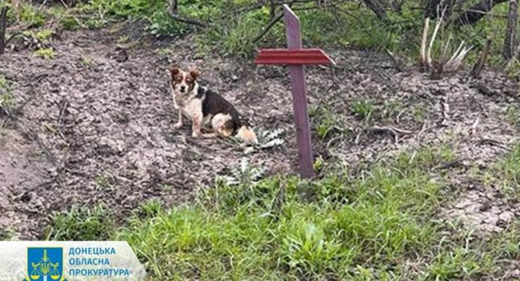В деоккупированном селе в Донецкой области обнаружили останки тел нескольких погибших