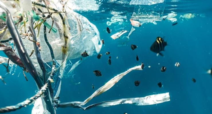 В ООН заявляют о критическом загрязнении пластиком