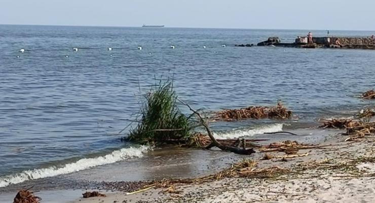 В Одесі солоність моря на пляжах впала майже втричі - мерія