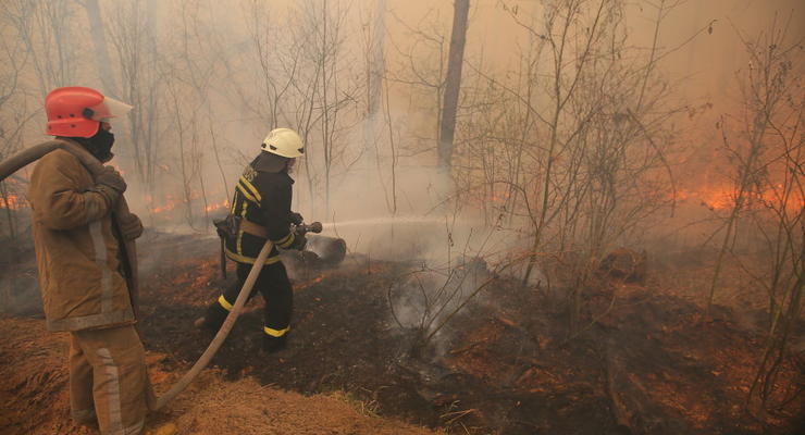 В нескольких областях Украины объявлена пожарная опасность
