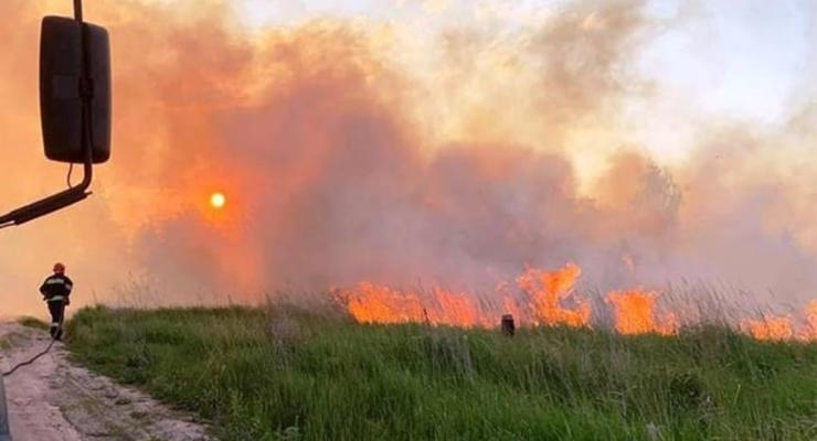В Черниговской области из-за пожара сухой травы погиб мужчина