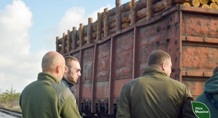 Уволены все руководители лесхозов в Ровенской области