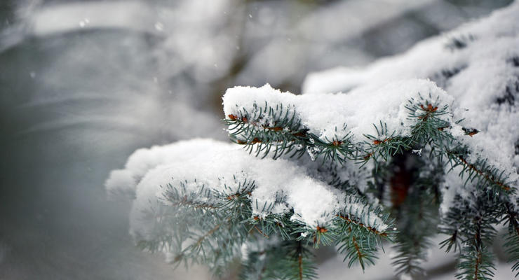 Мороз до -13 и снег: синоптики рассказали о погоде в Украине на 5-8 декабря