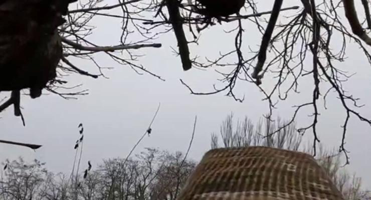 Украинский пограничник утилизировал три российских беспилотника