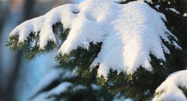 До - 14 морозу: синоптик розповіла про погоду в Україні на 12 січня