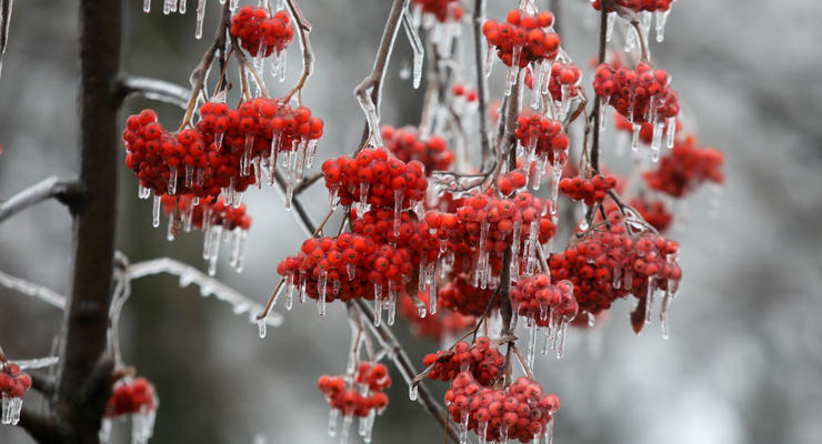 Мороз и снег: синоптики рассказали о погоде в Украине на 27-29 января