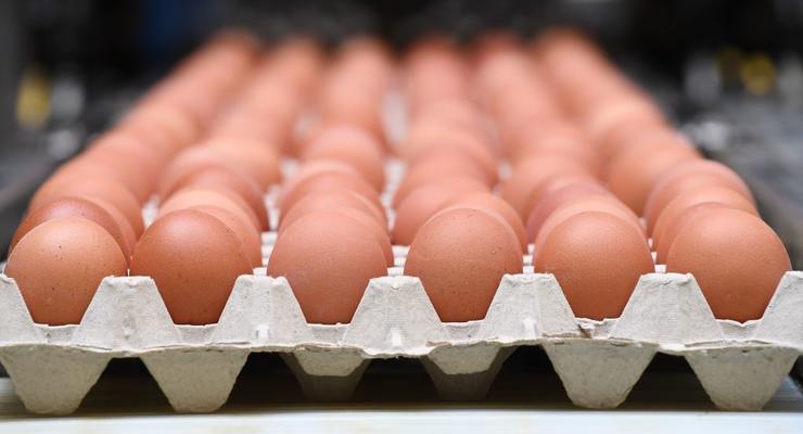 Продавали яйця для ЗСУ втридорога: НАБУ підтвердило корупційні схеми у Міноборони
