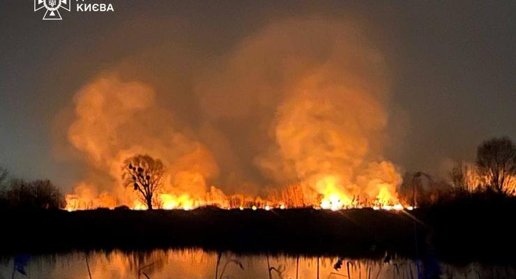 Пожар на Осокорковских озерах: правоохранители начали расследование