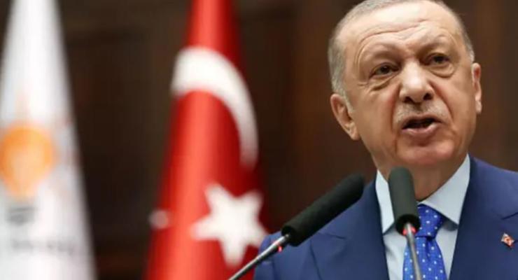 Эрдоган заявил, что Турция может войти в Израиль