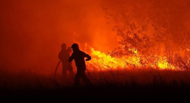 В Украине вспыхнул масштабный пожар