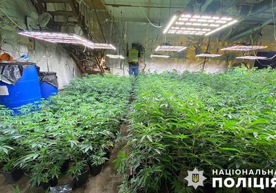 Отец, мать и сын организовали наркобизнес в трех областях Украины: подробности