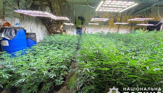 Отец, мать и сын организовали наркобизнес в трех областях Украины: подробности