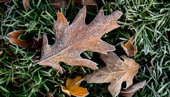 Морозы и мокрый снег: прогноз погоды в Украине на 6 ноября